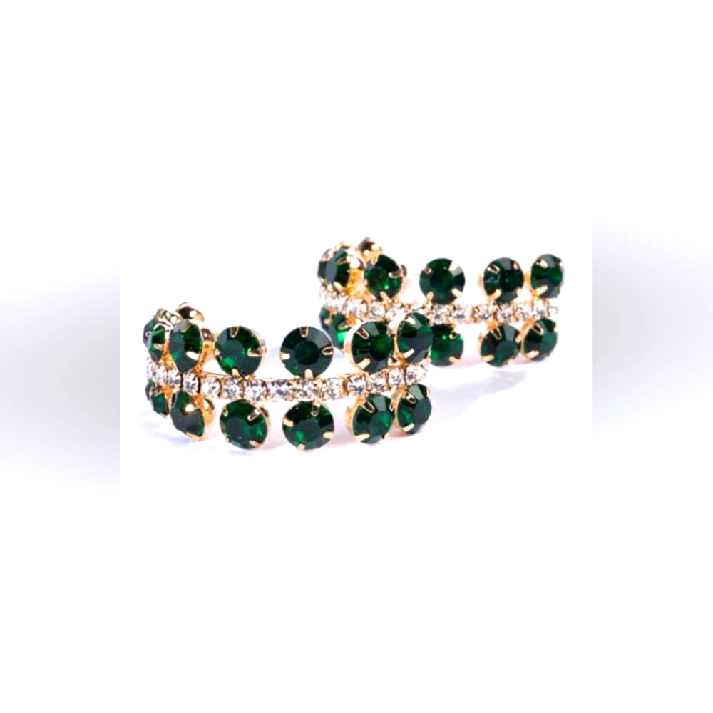 NWT Green With Envy Hoop Earrings